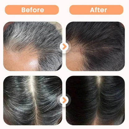 Herbal Hair Dye for Gray Hair – 200ml | Plant-Based, No Ammonia, with Fo-Ti, Black Sesame & Biota | For Women